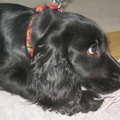 Timeline: Miss Lady my best friend