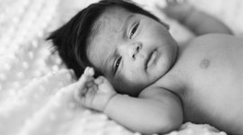 Timeline: Vida Academica de Mefiboset Trejo Tirado