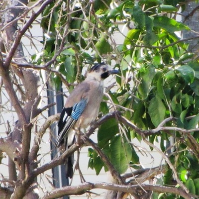 Timeline: לקראת בגרות, 2.6.2014