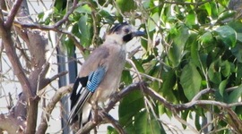 Timeline: לקראת בגרות, 2.6.2014