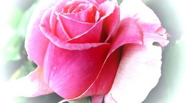 Timeline: Εισαγωγή στις χρονογραμμές