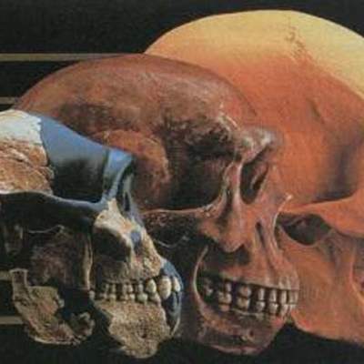 Timeline: DESARROLLO DE LA TEORÍA DE LA EVOLUCIÓN