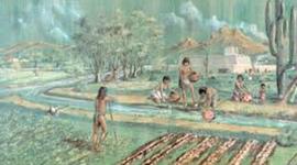 Timeline: 1450 C.E. -1750 C.E.