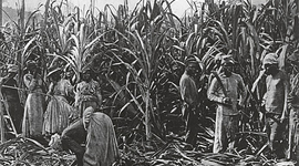 Timeline: Slavery in Europe