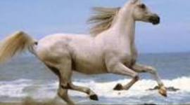 Timeline: Μόνιμος εκπαιδευτικός βίος.