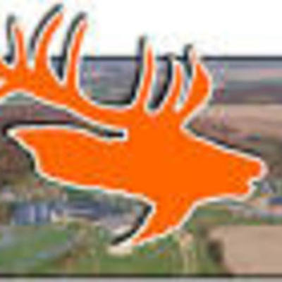 Timeline: deannas life