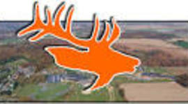 Timeline: deannas life