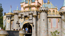 Timeline: Evelyn's Timeline