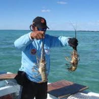 Timeline: Thesis Timeline