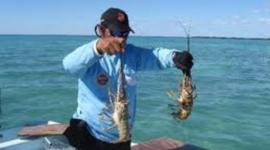 Timeline: Thesis Timeline