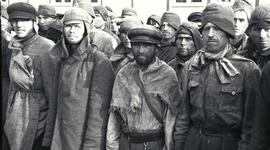 Timeline: Soviet POWs (1941-1942)