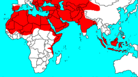 Timeline: The Spread of Islam