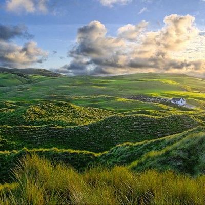 Timeline: From Ireland to a New Life in America