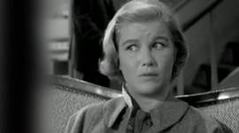 Timeline: Lamb to the slaughter