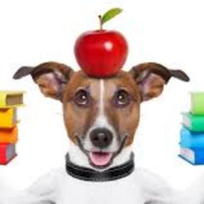 Timeline: My Teaching Career (thus far)