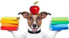 Timeline: My Teaching Career (thus far)