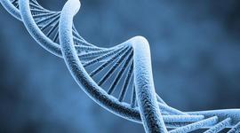 Timeline: Principales acontecimientos de la genética