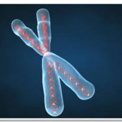 Timeline: REVOLUCION GENETICA