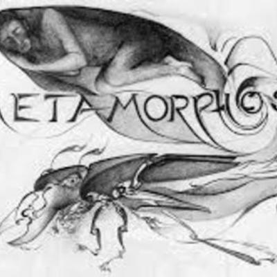 Timeline: LA METAMORFOSIS