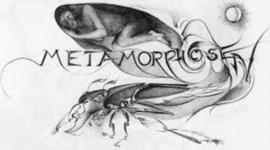 Timeline: LA METAMORFOSIS