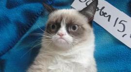 Timeline: Nací el 13 de marzo a las 3