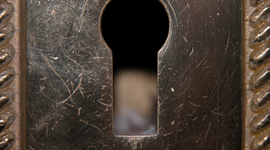 Timeline: A Peek Through Her Life