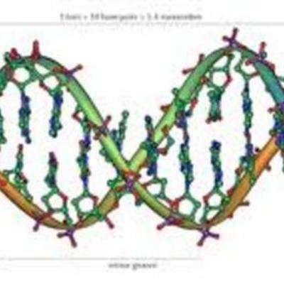 Timeline: Los principales descubrimientos del ADN