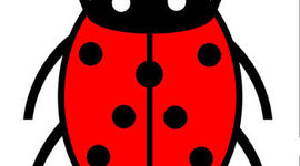 Timeline: Raamatud kirjastuselt Lambri Raamat