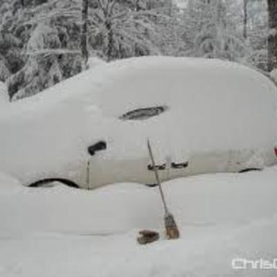 Timeline: Spring Break