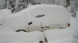 Timeline: Spring Break