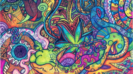 Timeline: Mi vida loca