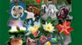 Timeline: Рабочая программа по биологии 6 класс.