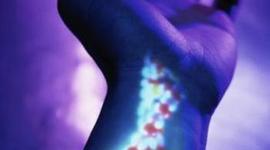 Timeline: El Principio del DNA o ADN