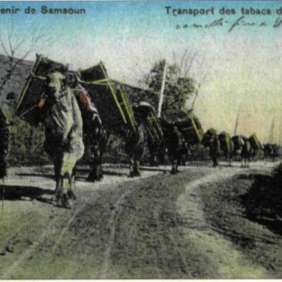 Timeline: ΠΑΡΕΥΞΕΙΝΙΟΣ ΕΛΛΗΝΙΣΜΟΣ