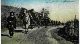 Timeline: ΠΑΡΕΥΞΕΙΝΙΟΣ ΕΛΛΗΝΙΣΜΟΣ