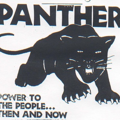 Timeline: Black Panthers Timeline