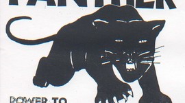 Timeline: Black Panthers Timeline