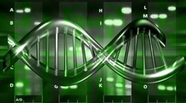Timeline: revolución genética