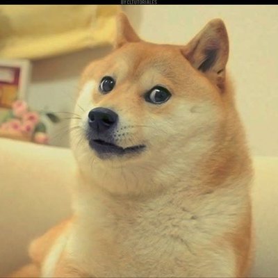 Timeline: Clvil rights and Doge