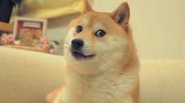 Timeline: Clvil rights and Doge