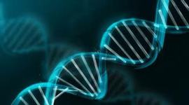 Timeline: Acontecimientos Principales del DNA
