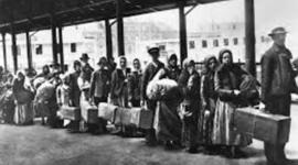 Timeline: Immigration Autobiographical