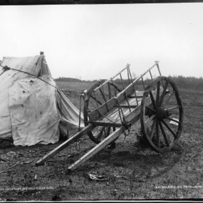 Timeline: Metis Timeline