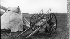 Timeline: Metis Timeline