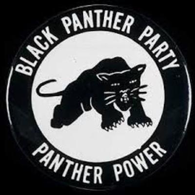 Timeline: Black Panthers