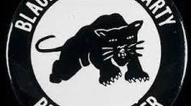 Timeline: Black Panthers