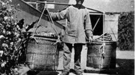 Timeline: Zahn Yaw Wu