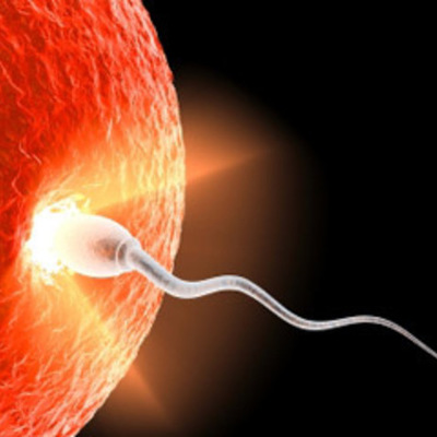 Timeline: Timeline for Human Development