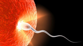 Timeline: Timeline for Human Development