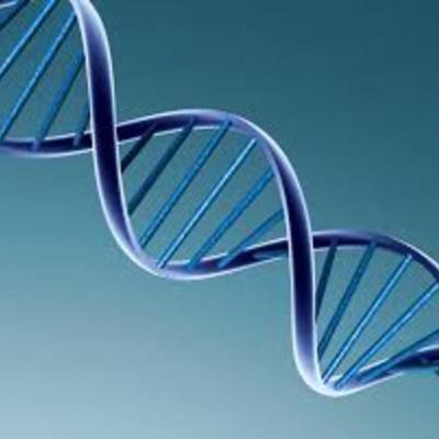 Timeline: linea de tiempo ADN